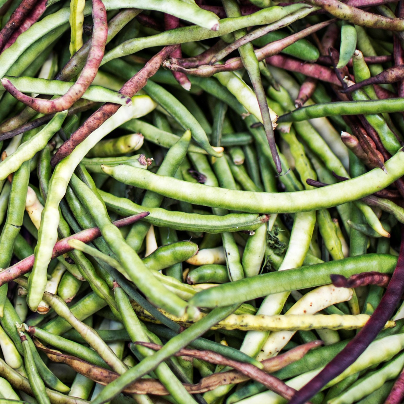 Picture of local green beans